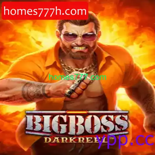 BigBoss